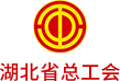 湖北省总工会：劳模工作管理系统